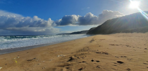 johanna-beach